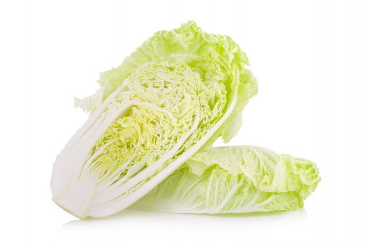 白菜の長持ち保存方法…選び方のコツから冷凍保存の仕方まで