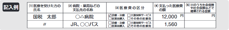 医療費控除 記入例