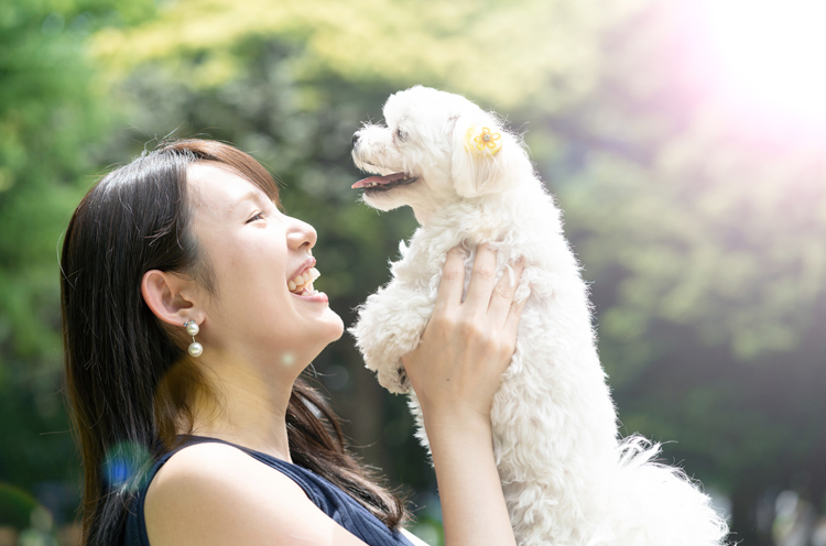 犬のしつけ どう教えたらいい トイレ 吠え 噛みの対処ポイントを伝授 ペット雑学帳 Vol 7 Kufura クフラ 小学館公式