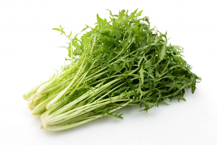 水菜 保存方法
