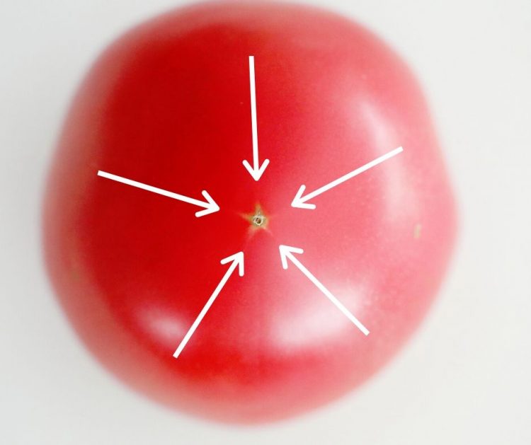 トマト　切り方