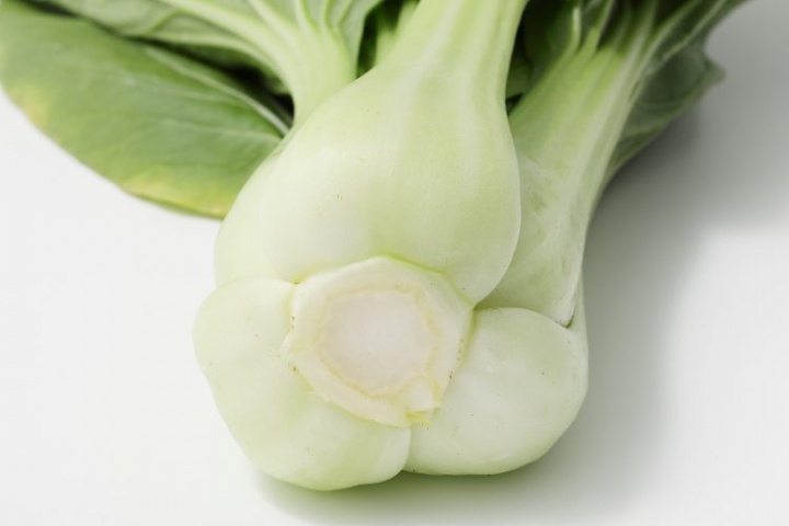 チンゲン菜 選び方 茎
