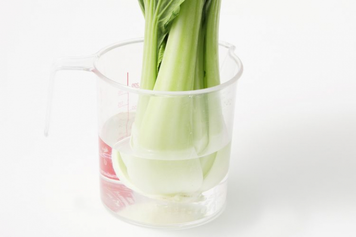 チンゲン菜 冷蔵保存 冷水