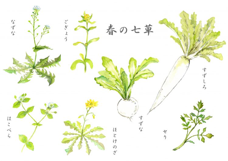 七草がゆ 効能