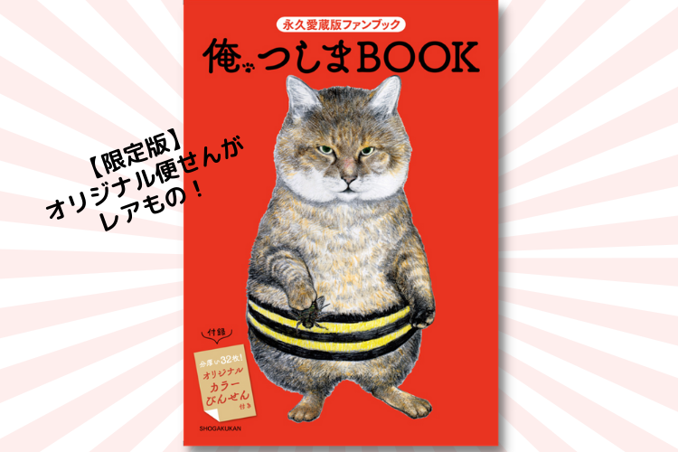 話題のリアル猫漫画 俺 つしま がアニメ化決定 限定版ファンbook 予約の締め切り もうすぐです Kufura クフラ 小学館公式