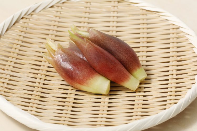 夏こそ食べたい！「みょうが」の栄養情報・上手な保存方法を解説します【管理栄養士監修】
