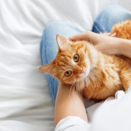 ペットは飼い主に似るって本当？愛猫が自分や家族に似ている＆似てきたエピソード集