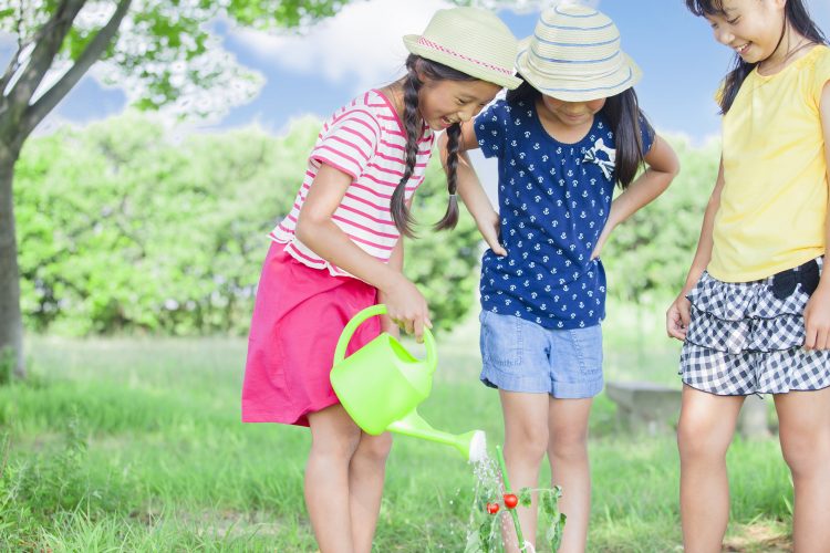 「水やりして！」と怒りたくない…子どもが植物や昆虫のお世話をするようになったきっかけは？