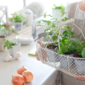 初心者におすすめ！ベランダ菜園で育てやすい野菜ランキングTOP8