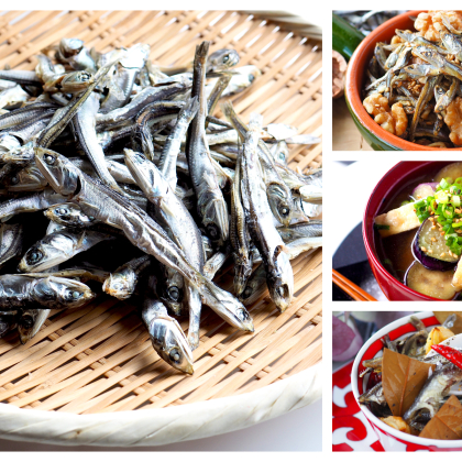 しっかりおさらい！煮干しだしの基本＆煮干しを丸ごと食べるレシピ【乾物と仲良くなろう！】