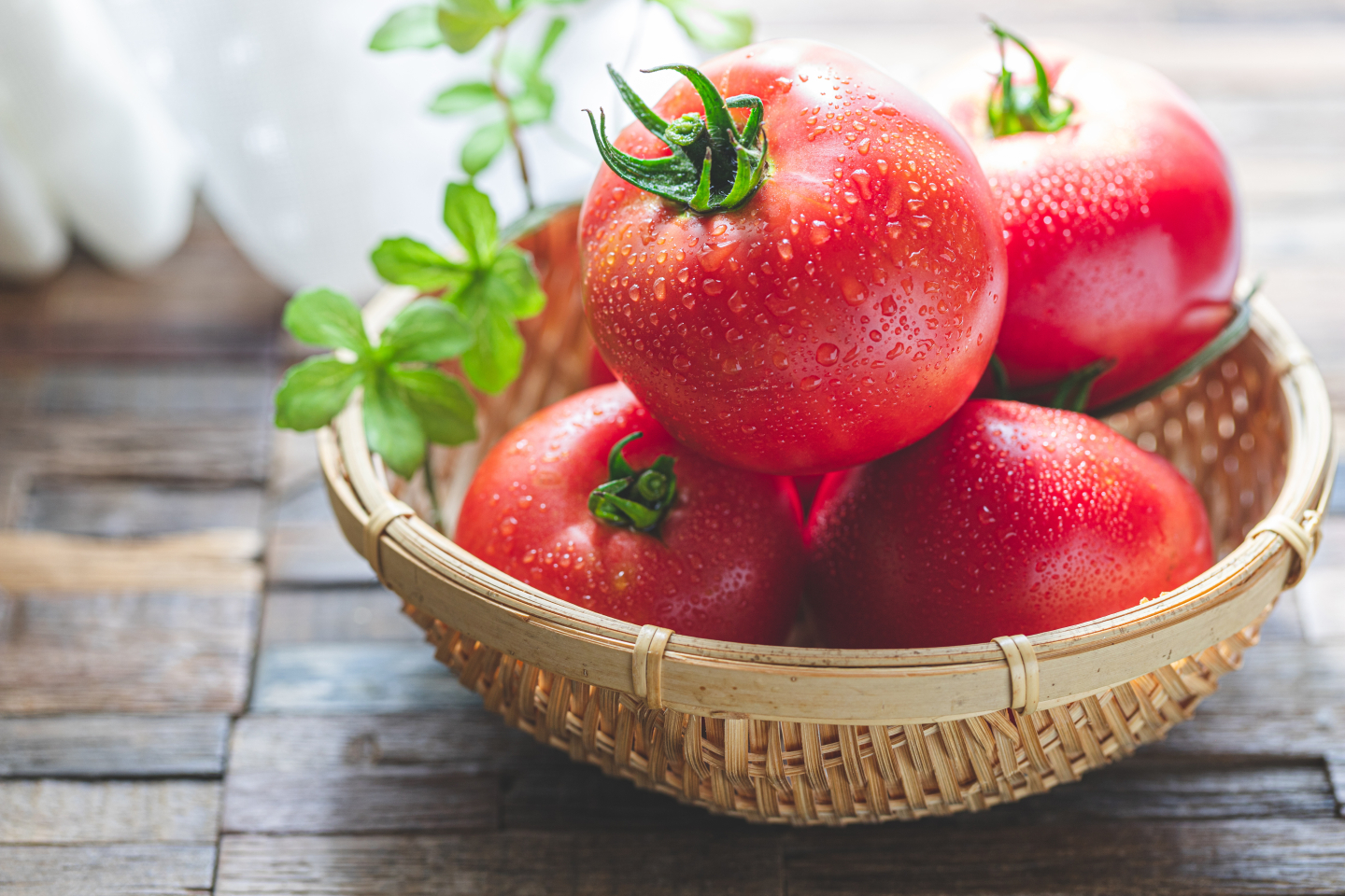 リピート確定！「トマト」の旬の時季にこれだけは食べたいとっておきのレシピを調査
