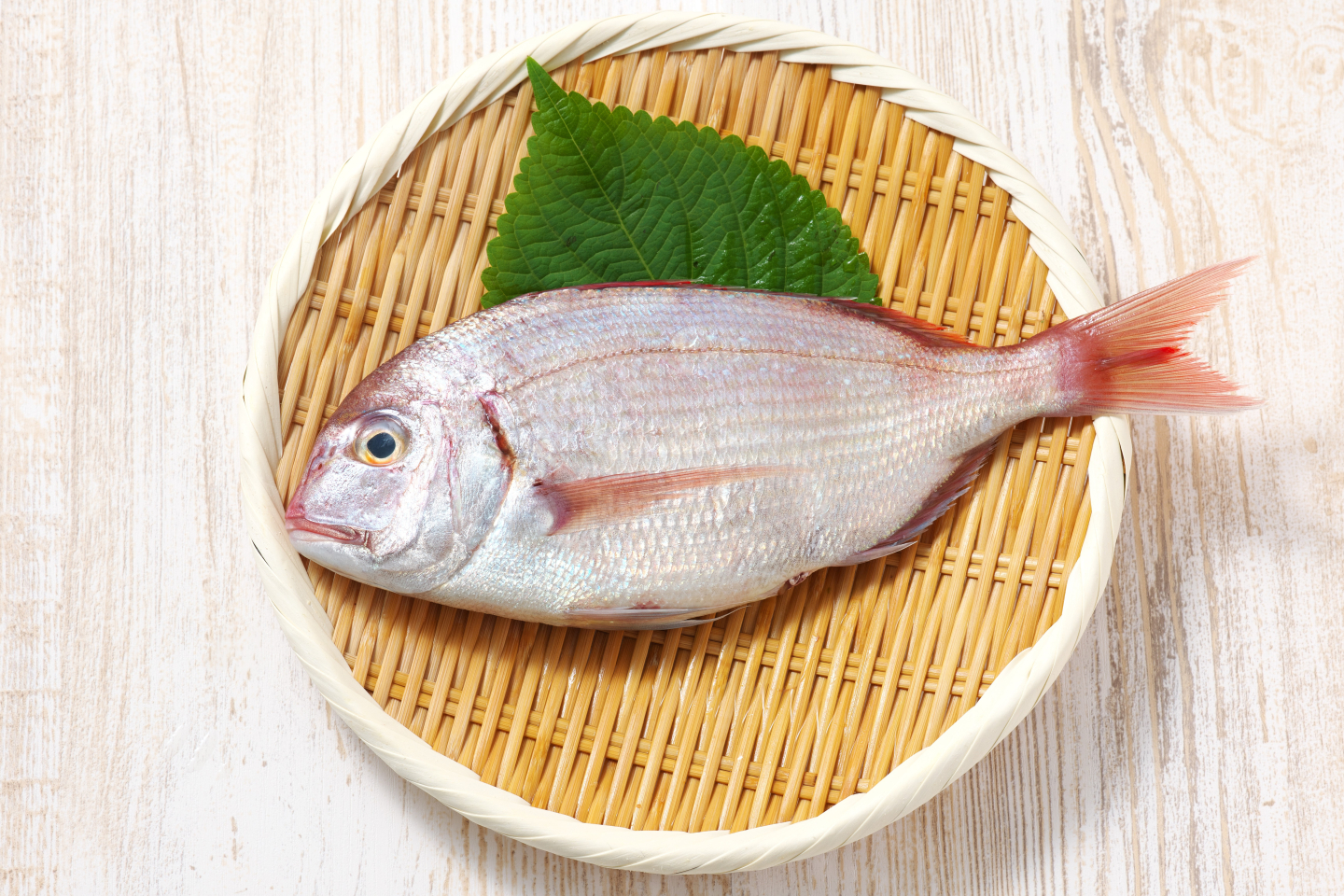 鯛 たい は意外と高カロリーな魚 栄養情報や健康効果を管理栄養士が解説します Kufura クフラ 小学館公式