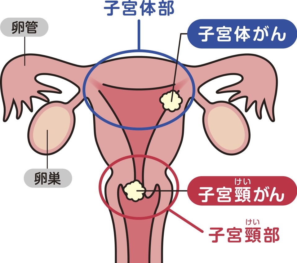 環境問題への取り組み 企業