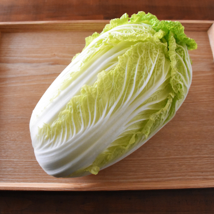 甘みが増した今が食べ頃！「白菜」の選び方とおいしい食べ方アイディア【旬の野菜通信 12月】