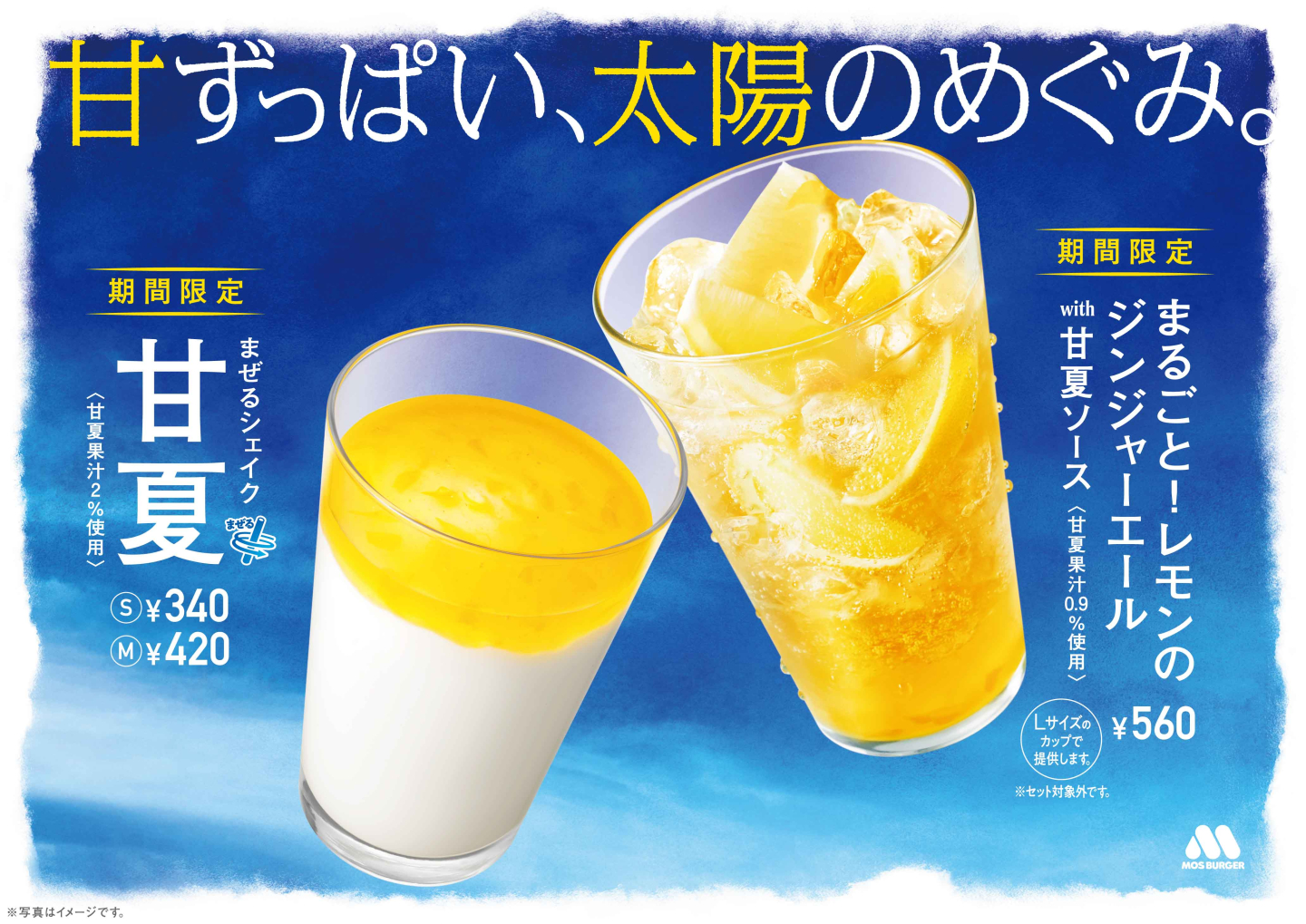 5月24日より新発売！甘夏＆不知火を使用したモスバーガーの爽やか夏ドリンク