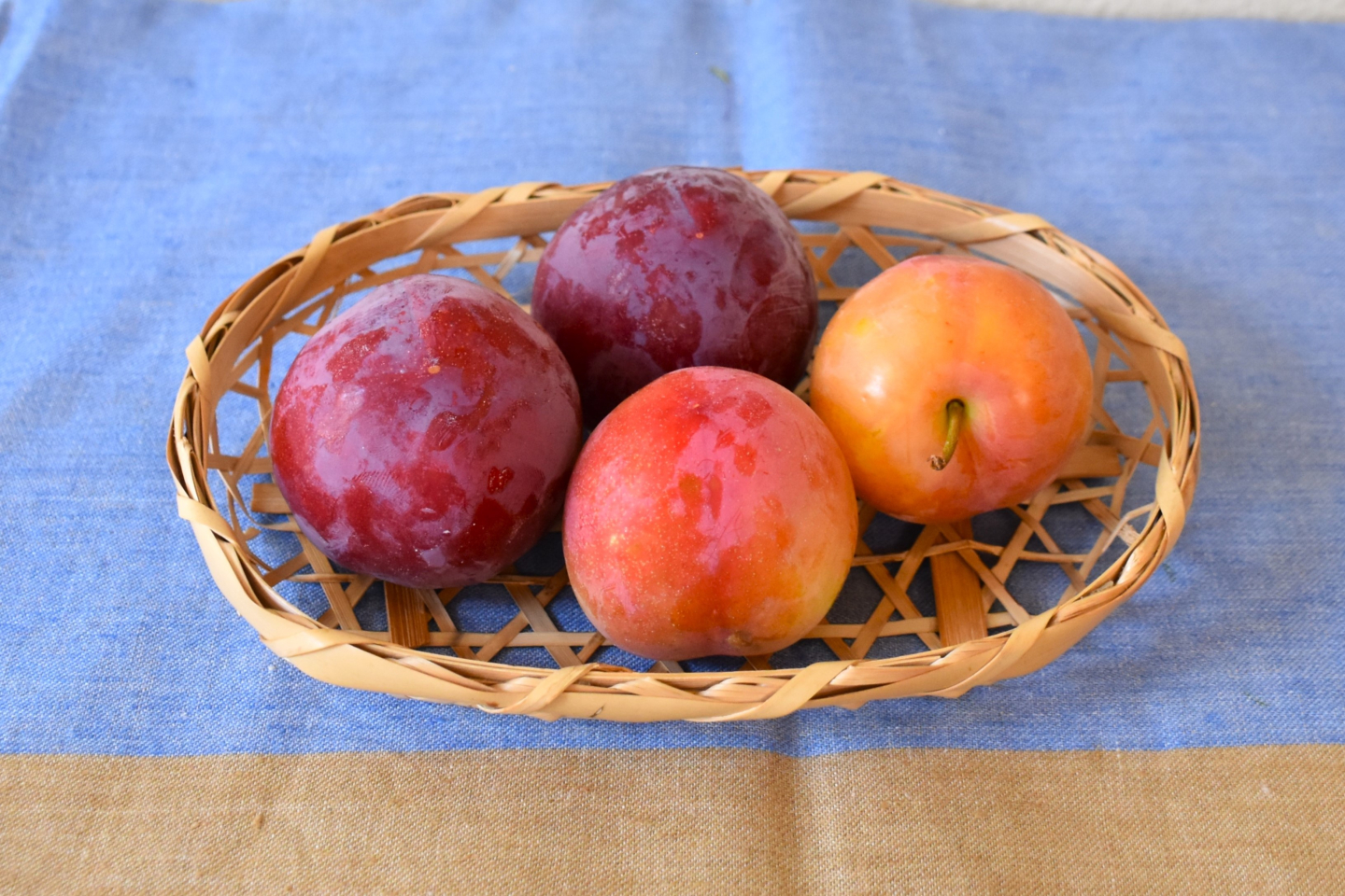 品種ごとに食べ比べも楽しめる！甘酸っぱい夏の果物「すもも（プラム）」【旬の野菜通信 7月】